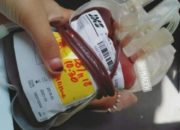 ASN RSIA Banda Aceh Donor 26 Kantong Darah