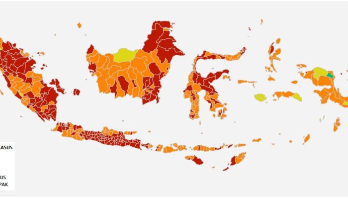 Satu-satunya, Ini Wilayah Zona Hijau Covid-19 di Indonesia