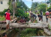 Warga Gampong Lhung Tarok Blangpidie Gotong Royong Bersihkan Saluran