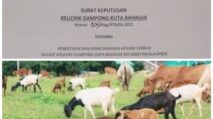 Gampong Kuta Bahagia Keluarkan Aturan bagi Ternak Liar, Jika Dilanggar Denda Rp200 Ribu dan Lelang Depan Umum