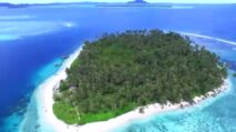 Investasi UEA di Aceh Singkil Ditunda, Diduga Masih Analisis