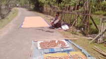 Brigadir Miswandi