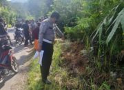Minibus Travel Jatuh ke Jurang, Sopir dan Penumpang Dilaporkan Hilang