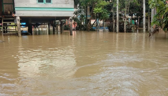 Banjir Luapan Rendam 7 Kecamatan di Kabupaten Pidie