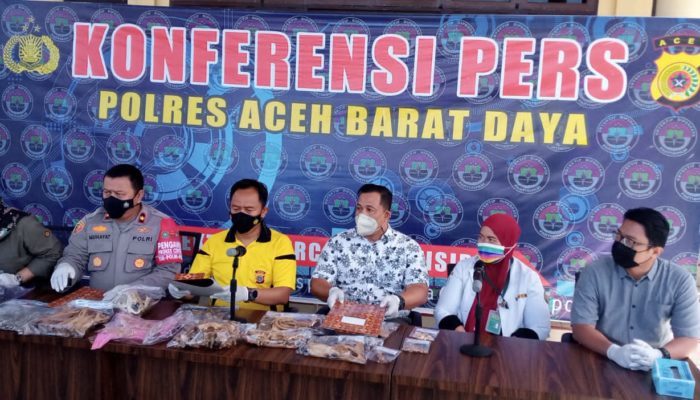 Polisi Gagalkan Perdagangan Tulang Belulang Harimau Sumatera di Abdya