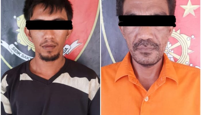 Dua Pencuri Kambing di Abdya Diringkus Polisi, Begini Kronologisnya