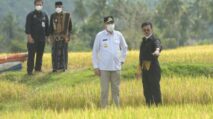 Aceh Miliki Syarat Komplit Wujudkan Swasembada Pangan Daerah