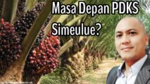 Kadin Simeulue Ajak Masyarakat Selamatkan Masa Depan PDKS