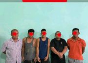 5 Orang Maling Ternak Sapi di Abdya Diringkus Polisi