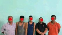 5 Orang Maling Ternak Sapi di Abdya Diringkus Polisi