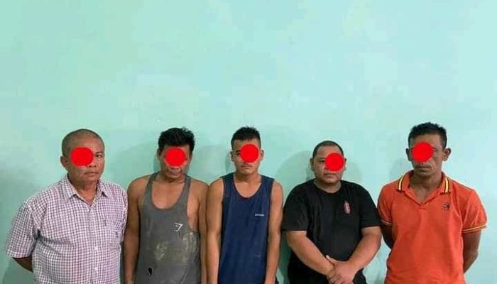 5 Orang Maling Ternak Sapi di Abdya Diringkus Polisi