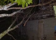 Rumah Janda Lansia Miskin di Abdya Ditimpa Pohon