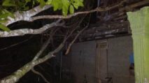 Rumah Janda Lansia Miskin di Abdya Ditimpa Pohon