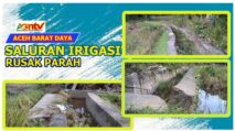 Saluran Irigasi Sawah di Lembah Sabil Abdya Rusak Parah