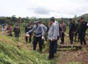 Polda Aceh Ungkap dan Musnahkan 5,3 Hektar Ladang Ganja di Aceh Besar