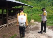 36 Ekor Hewan Ternak di Aceh Terinfeksi PMK Dipotong Bersyarat