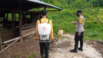 36 Ekor Hewan Ternak di Aceh Terinfeksi PMK Dipotong Bersyarat 32 36 Ekor Hewan Ternak di Aceh Terinfeksi PMK Dipotong Bersyarat