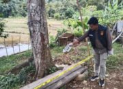 Pembunuhan di Aceh Jaya, Polisi: Korban Ditembak dengan Senapan Angin