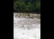 5 Santri Hanyut di Sungai Brayeun Aceh Besar, 1 Korban Asal Abdya