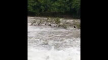 5 Santri Hanyut di Sungai Brayeun Aceh Besar, 1 Korban Asal Abdya