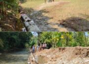 Puluhan Hektar Sawah di Kuta Jeumpa Abdya Terancam jadi Sungai