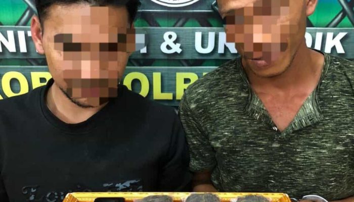 Dua Warga Abdya Diringkus Polisi karena Miliki 18 Paket Sabu dan 3 Bungkus Ganja