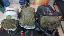 Polres Langsa Ringkus Bandar Narkotika, 10 Kg Ganja Kering Siap Edar Diamankan