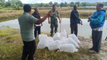 Dandim Abdya Bantu 15 Ribu Bibit Ikan untuk Masyarakat