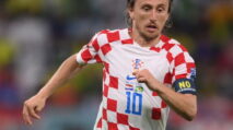 Luka Modric Sebut Kroasia Punya DNA Real Madrid