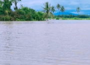 Terancam Gagal Tanam, Ratusan Hektar Sawah di Pidie Direndam Banjir