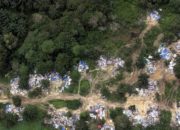 Malaysia Temukan Perkampungan Ilegal WNI di dalam Hutan, 67 Orang Ditahan