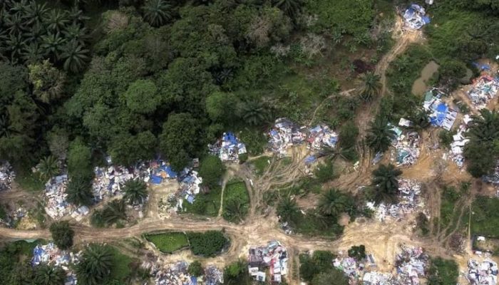 Malaysia Temukan Perkampungan Ilegal WNI di dalam Hutan, 67 Orang Ditahan