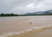 Banjir Luapan Hanyutkan Puluhan Hektar Tanaman Padi di Abdya