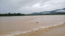 Banjir Luapan Hanyutkan Puluhan Hektar Tanaman Padi di Abdya