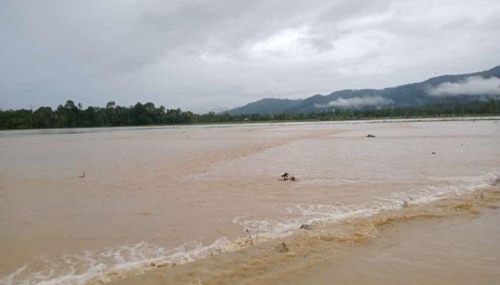 Banjir Luapan Hanyutkan Puluhan Hektar Tanaman Padi di Abdya