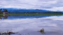 Puluhan Hektar Sawah di Jeumpa Abdya Direndam Banjir