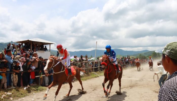 Pj Bupati Aceh Tengah Tutup Even Pacuan Kuda Tradisional Gayo HUT Kota Takengon Ke-446