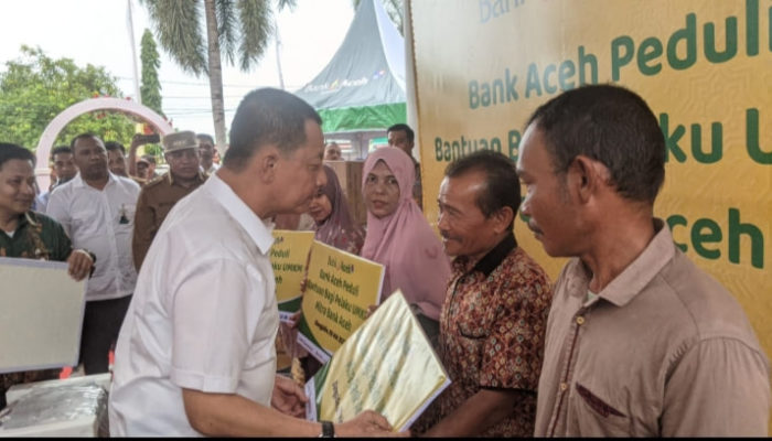 Kunker ke Abdya, Pj Gubernur Aceh Bantu Koptan dan Pelaku UMKM