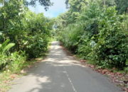 Bahu Jalan Provinsi Bersemak di Simeulue Ancam Pengendara