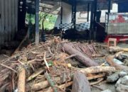 Pasca Banjir Bandang, 11 KK di Beutong Ateuh Mengungsi dan Jembatan Putus Total