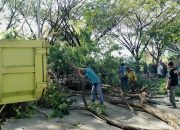Petugas Perkim Abdya Bersihkan Dahan Pohon Sepanjang Jalan Kantor Bupati