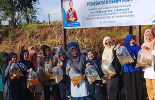 Dukung Ketahanan Pangan, Forikan dan DPKP Abdya Tebar 3.500 Benih Ikan di Kolam Kantor Bupati