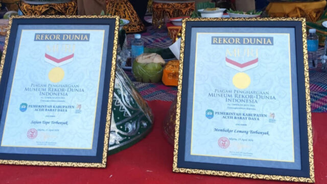 Tradisi Jadi Prestasi, Abdya Borong Dua Rekor Dunia MURI di Usia ke-24