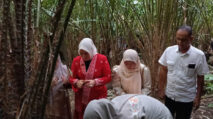 Ketua TP PKK Aceh Tinjau UMKM Cokelat dan Agrowisata Salak di Sabang