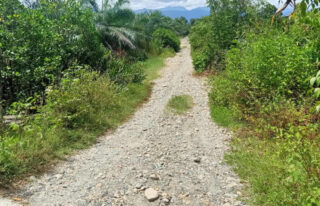 Respon Cepat Keluhan Warga, Bupati Abdya Instruksikan PUPR Aspal Jalan Rusak di Manggeng