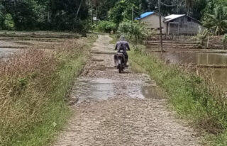 Warga Minta Hotmix Jalan Rusak di Jeumpa, PUPR Abdya: Insyaallah akan Dikerjakan Tahun Ini
