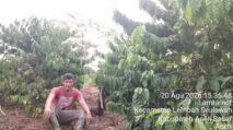 Kopi Aceh: Warisan Tradisi dari Ujung Barat Nusantara