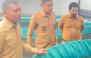 Intip Inovasi Bioflok Lele Geulumpang Payong, Bupati Abdya: Contoh Bagus Buat Keuchik Lain!