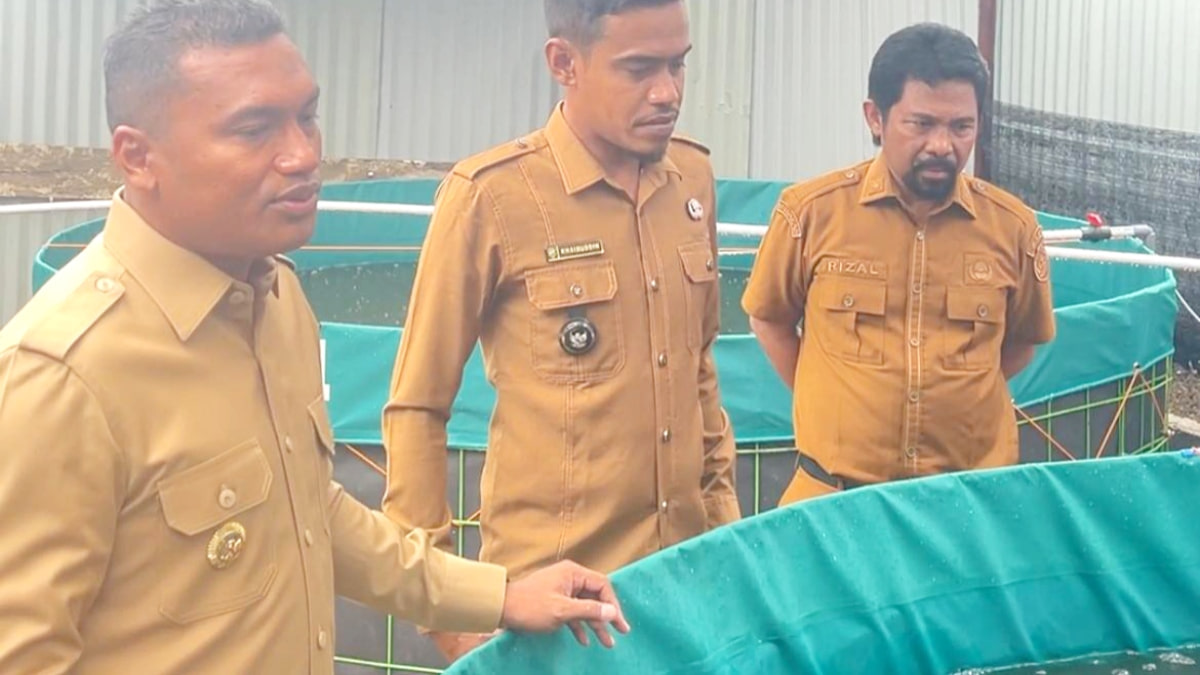 Intip Inovasi Bioflok Lele Geulumpang Payong, Bupati Abdya: Contoh Bagus Buat Keuchik Lain!