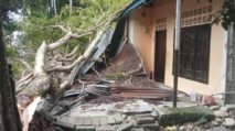 Pohon Langsat Tumbang Timpa Rumah Janda Lansia di Abdya
